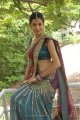 Diksha Panth Hot Saree Pics