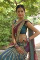 Diksha Panth Hot Saree Pics