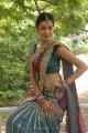 Diksha Panth Hot Saree Pics