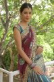 Diksha Panth Hot Saree Pics