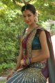 Diksha Panth Hot Saree Pics