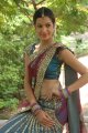 Diksha Panth Hot Saree Pics