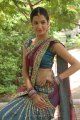 Diksha Panth Hot Saree Pics