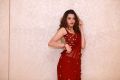 Operation 2019 Movie Actress Diksha Panth Red Saree Photos