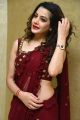 Actress Diksha Panth Red Saree Photos @ Operation 2019 Pre Release