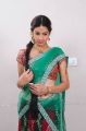 Telugu Actress Diksha Panth in Saree Photoshoot Stills