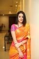Telugu Actress Diksha Panth Silk Saree Photos