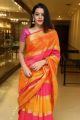 Telugu Actress Diksha Panth Silk Saree Photos
