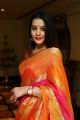 Telugu Actress Diksha Panth Silk Saree Photos