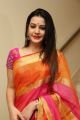 Telugu Actress Diksha Panth Silk Saree Photos