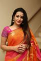 Telugu Actress Diksha Panth in Silk Saree Photos