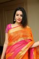 Telugu Actress Diksha Panth Silk Saree Photos