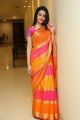 Telugu Actress Diksha Panth in Silk Saree Photos