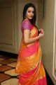 Telugu Actress Diksha Panth in Silk Saree Photos