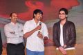 Dil Diwana Movie Audio Launch Photos