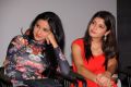 Dillunnodu Movie Audio Launch Stills