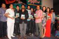 Dillunnodu Movie Audio Launch Stills