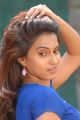 Telugu Actress Dimple Chopade New Stills at Biscuit Press Meet