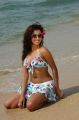 Actress Dimple Chopade Hot Bikini Beach Photos