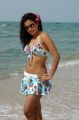 Actress Dimple Chopade Hot Bikini Beach Photos