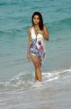 Actress Dimple Chopta Hot Bikini Photoshoot Stills in Beach