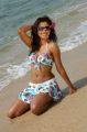 Actress Dimple Chopda Hot Bikini Beach Photos