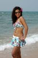 Actress Dimple Chopta Hot Bikini Photoshoot Stills in Beach
