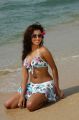 Actress Dimple Chopade Hot in Bikini Beach Photoshoot Stills