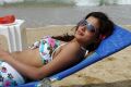 Actress Dimple Chopda Hot Bikini Beach Photos