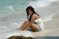 Actress Dimple Chopta Hot Bikini Photoshoot Stills in Beach