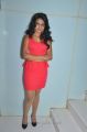 Dimple Chopade Hot Pics in Light Red Skirt