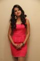 Dimple Chopda Hot Pics in Light Red Skirt