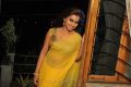 Actress Dimple Chopda in Yellow Chiffon Saree Stills