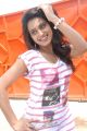 Tamil Actress Dimple Chopra Latest Photos