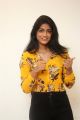 Actress Dimple Hayathi Pics @ Valmiki Movie Thanks Meet