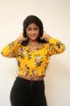 Actress Dimple Hayati Pics @ Gaddalakonda Ganesh Thanks Meet