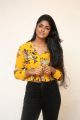 Actress Dimple Hayathi Pics @ Valmiki Movie Thanks Meet