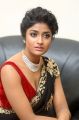 Actress Dimple Hayathi Photos @ Valmiki Movie Pre Release