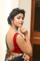 Actress Dimple Hayati Photos @ Valmiki Movie Pre Release