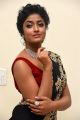 Actress Dimple Hayathi Photos @ Valmiki Movie Pre Release