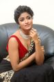 Actress Dimple Hayathi Photos @ Valmiki Movie Pre Release