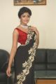 Actress Dimple Hayati Photos @ Valmiki Movie Pre Release Event