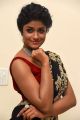 Valmiki Movie Heroine Dimple Hayathi Photos