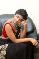 Valmiki Movie Heroine Dimple Hayathi Photos