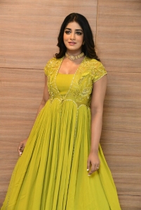 Actress Dimple Hayathi Pictures @ Ramabanam Movie Press Meet