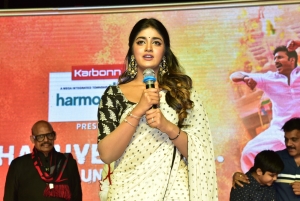 Ramabanam Movie Actress Dimple Hayathi Saree Pics