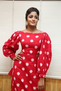 Khiladi Movie Actress Dimple Hayathi Red Dress Photos
