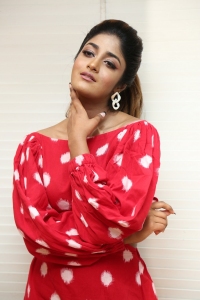 Khiladi Movie Actress Dimple Hayathi Red Dress Photos