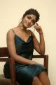 Gaddalakonda Ganesh Actress Dimple Hayati Photos