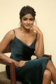 Gaddalakonda Ganesh Actress Dimple Hayati Photos